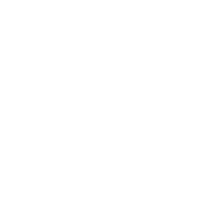 LOGO Szyszka Nieruchomości
